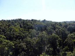 Tropical rainforest southeast of Barron Falls Skyrail Station, viewed from the Skyrail Rainforest Cableway gondola