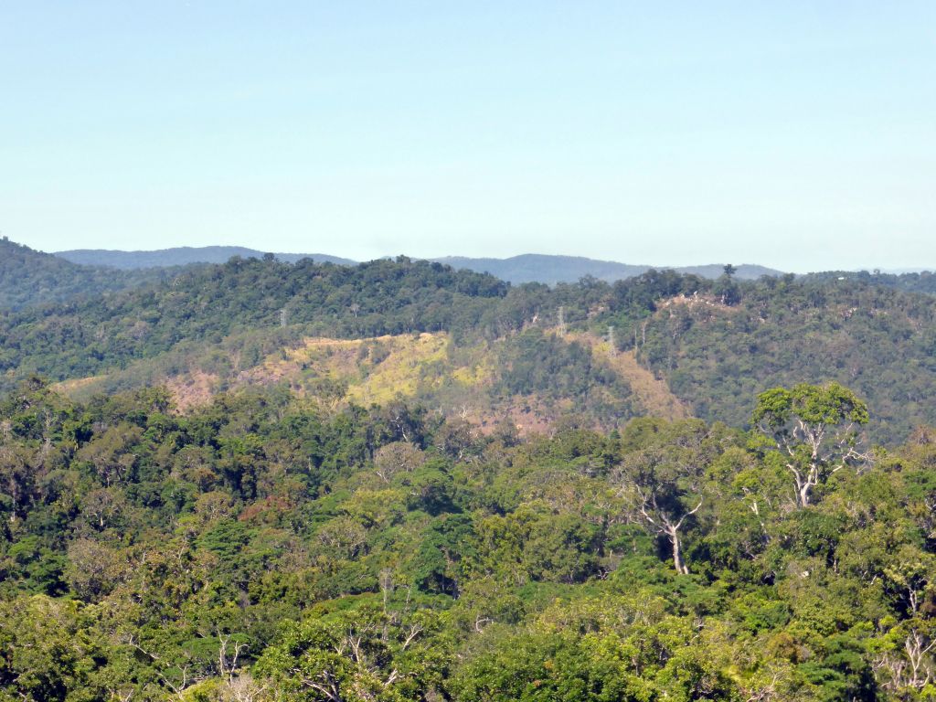 Rocks and tropical rainforest southeast of Barron Falls Skyrail Station, viewed from the Skyrail Rainforest Cableway gondola