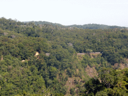 The Kuranda Scenic Railway train at the Barron Falls Railway Station and surroundings, viewed from the Skyrail Rainforest Cableway gondola