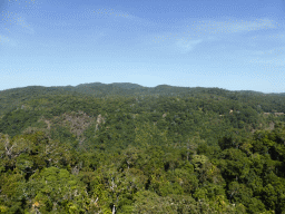 Tropical rainforest southeast of Barron Falls Skyrail Station, viewed from the Skyrail Rainforest Cableway gondola