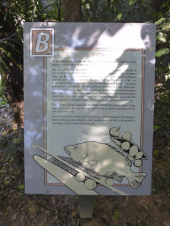 Information on the Aboriginals and the rainforest, at the Barron Falls Skyrail Station