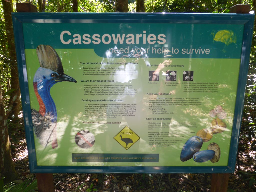 Information on Cassowaries, at the Barron Falls Skyrail Station