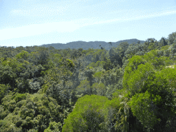 Tropical rainforest northwest of Barron Falls Skyrail Station, viewed from the Skyrail Rainforest Cableway gondola