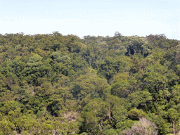 Tropical rainforest northwest of Barron Falls Skyrail Station, viewed from the Skyrail Rainforest Cableway gondola