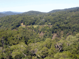 The Kuranda Scenic Railway train at the Barron Falls Railway Station, viewed from the Skyrail Rainforest Cableway gondola