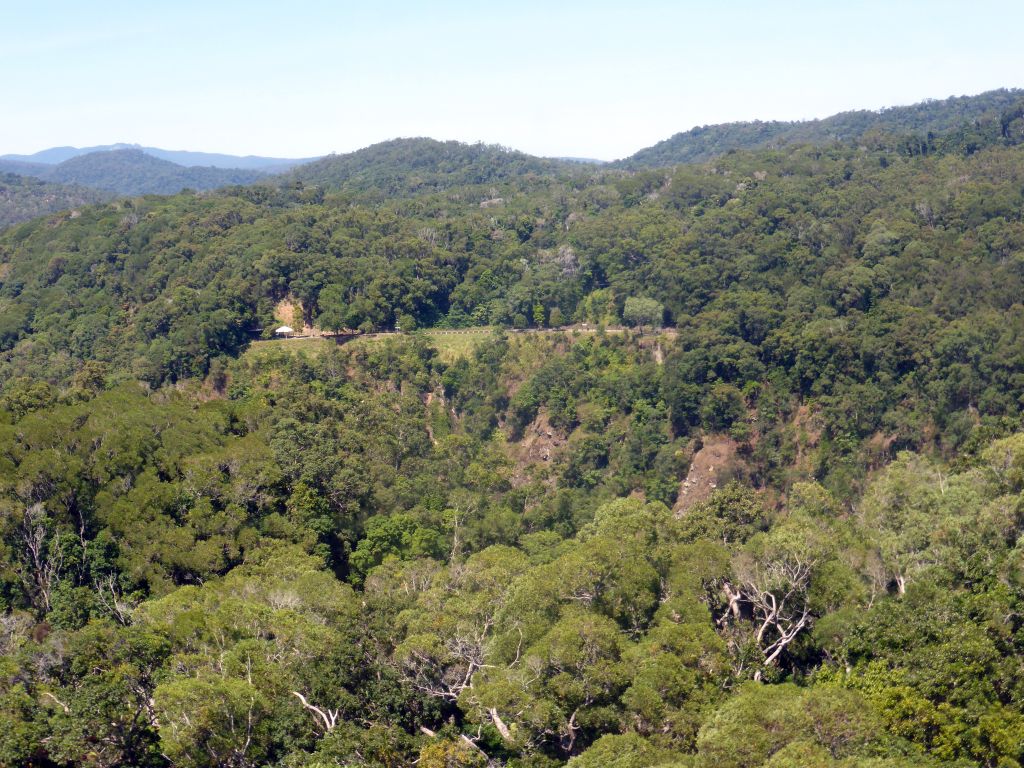 The Kuranda Scenic Railway train at the Barron Falls Railway Station, viewed from the Skyrail Rainforest Cableway gondola