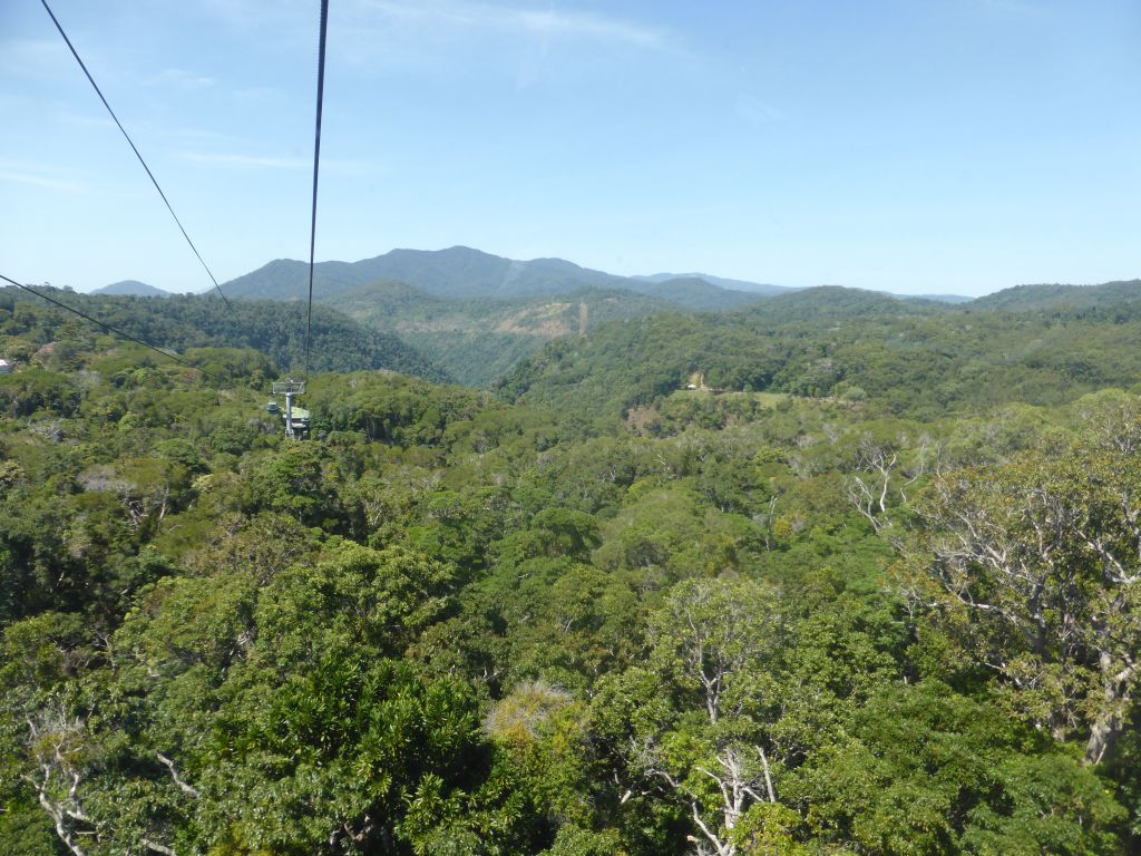 Tropical rainforest northwest of Barron Falls Skyrail Station, viewed from the Skyrail Rainforest Cableway gondola