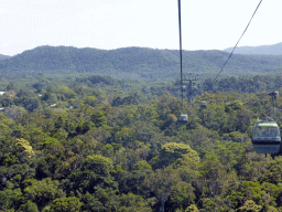 Tropical rainforest northwest of Barron Falls Skyrail Station, viewed from the Skyrail Rainforest Cableway gondola