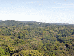 Tropical rainforest northwest of Barron Falls Skyrail Station, viewed from the Skyrail Rainforest Cableway gondola