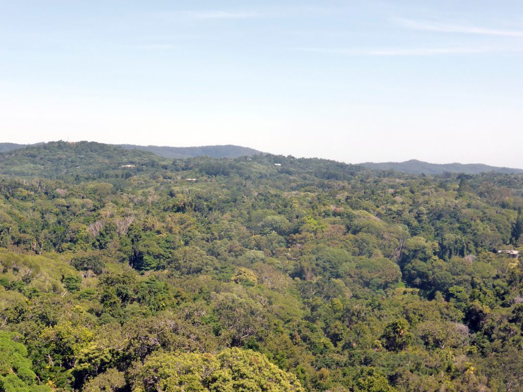 Tropical rainforest northwest of Barron Falls Skyrail Station, viewed from the Skyrail Rainforest Cableway gondola