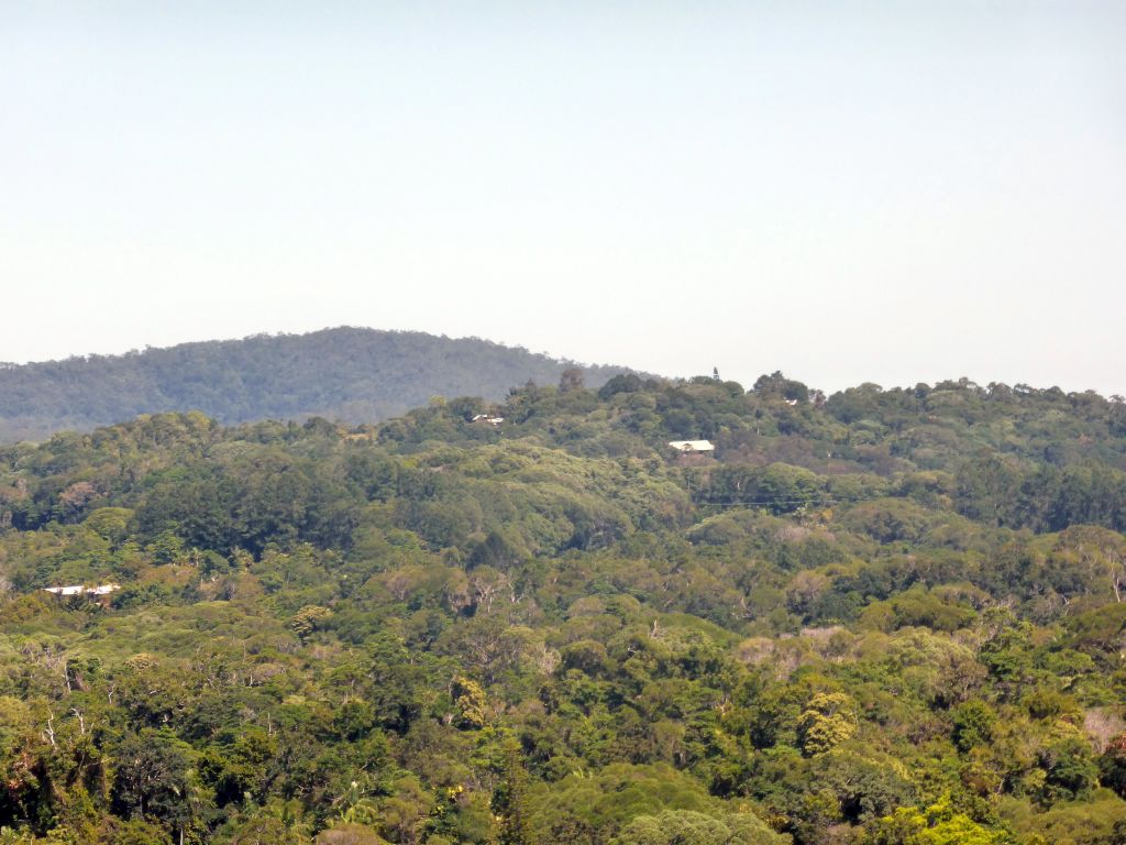 Tropical rainforest northwest of Barron Falls Skyrail Station, viewed from the Skyrail Rainforest Cableway gondola