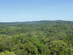 Tropical rainforest northwest of Barron Falls Skyrail Station, viewed from the Skyrail Rainforest Cableway gondola