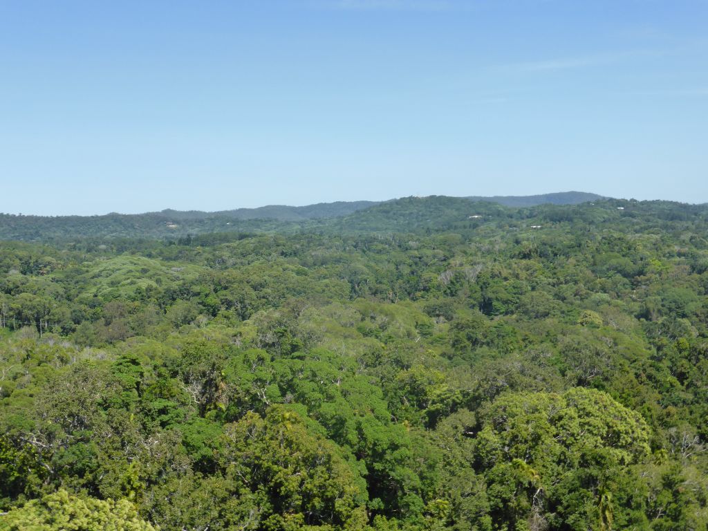 Tropical rainforest northwest of Barron Falls Skyrail Station, viewed from the Skyrail Rainforest Cableway gondola