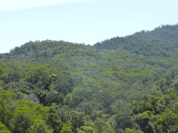 Tropical rainforest southeast of the Kuranda Skyrail Terminal, viewed from the Skyrail Rainforest Cableway gondola