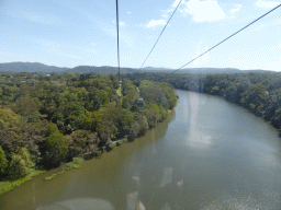 The Barron River and tropical rainforest, viewed from the Skyrail Rainforest Cableway gondola