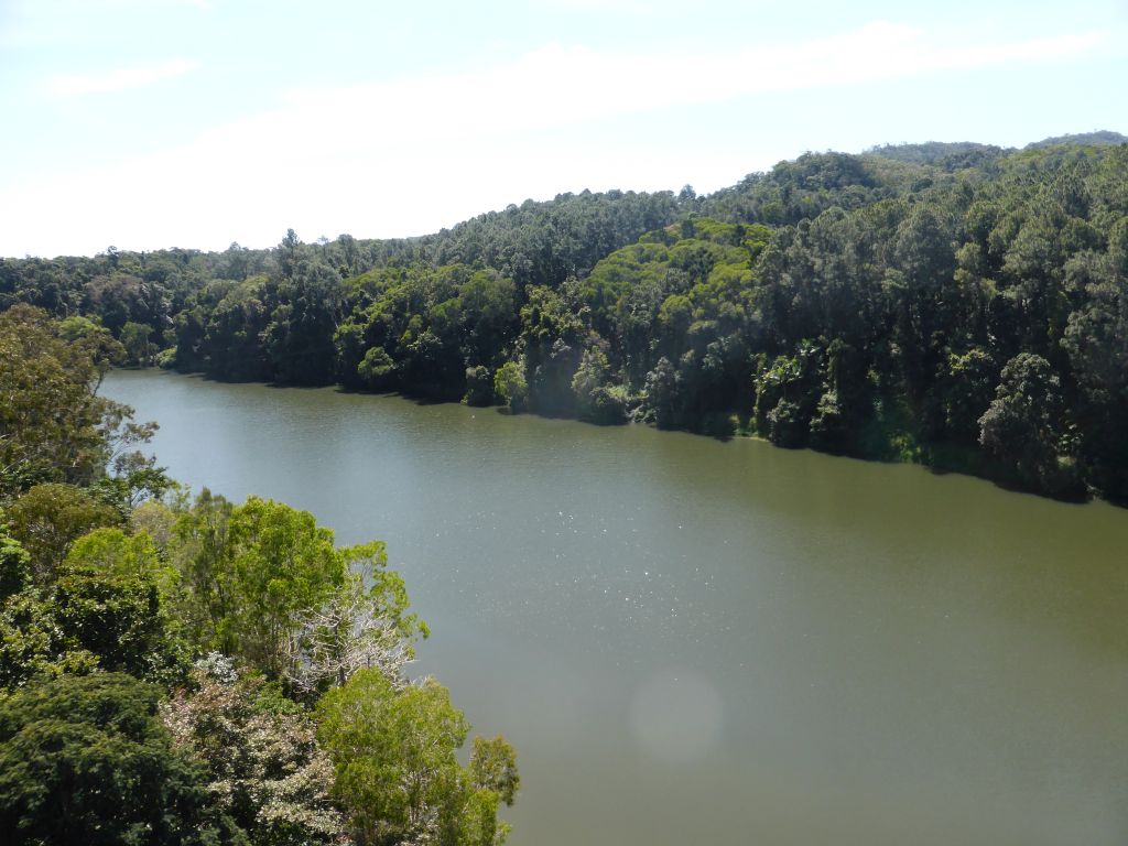 The Barron River and tropical rainforest, viewed from the Skyrail Rainforest Cableway gondola