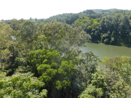 The Barron River and tropical rainforest, viewed from the Skyrail Rainforest Cableway gondola