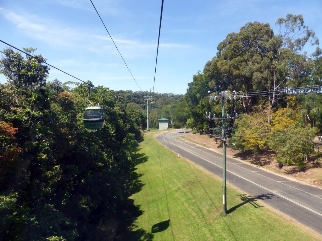 Arara Street, viewed from the Skyrail Rainforest Cableway gondola