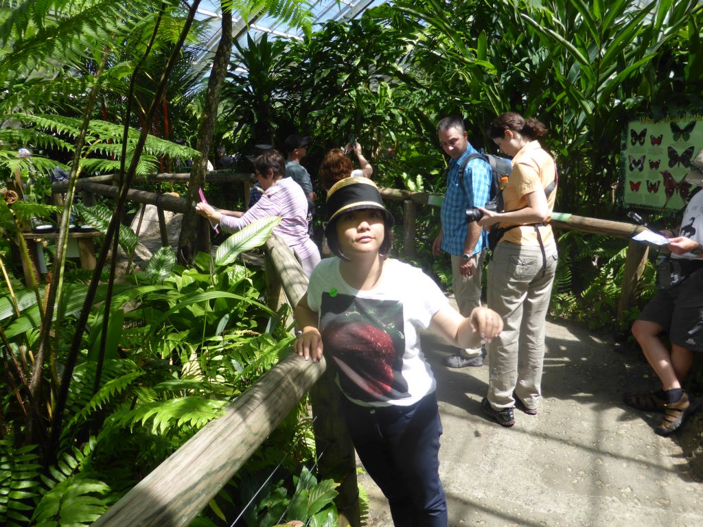 Miaomiao at the Australian Butterfly Sanctuary