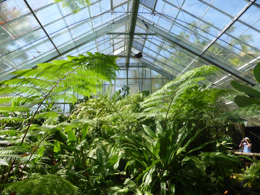 Interior of the Australian Butterfly Sanctuary