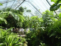 Interior of the Australian Butterfly Sanctuary