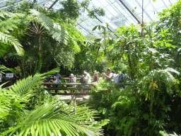 Interior of the Australian Butterfly Sanctuary