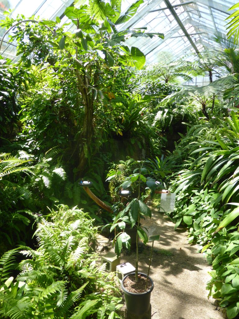 Interior of the Australian Butterfly Sanctuary