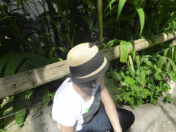 Miaomiao with a butterfly on her hat at the Australian Butterfly Sanctuary