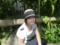 Miaomiao with a butterfly on her hat and on her shoulder at the Australian Butterfly Sanctuary