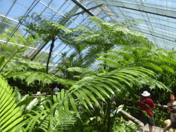 Interior of the Australian Butterfly Sanctuary