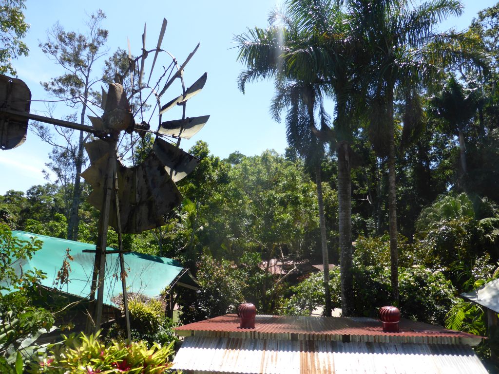 Windmill and houses, viewed from the Frogs Restaurant at the Heritage Markets