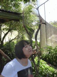 Miaomiao with a Parrot at the Birdworld Kuranda park