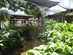 Platform at the Birdworld Kuranda park