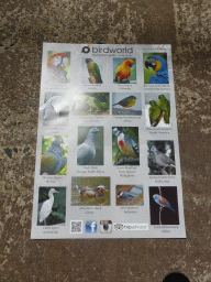 Information on the bird species at the Birdworld Kuranda park