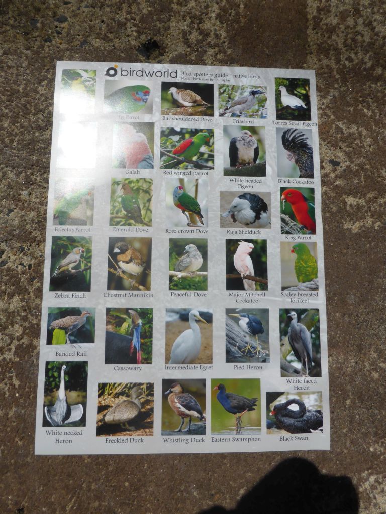 Information on the bird species at the Birdworld Kuranda park