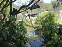 Interior of the Birdworld Kuranda park