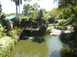 Interior of the Kuranda Koala Gardens