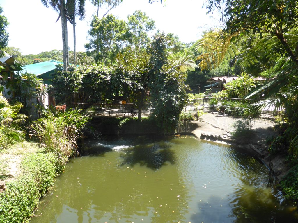 Interior of the Kuranda Koala Gardens