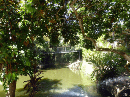 Interior of the Kuranda Koala Gardens