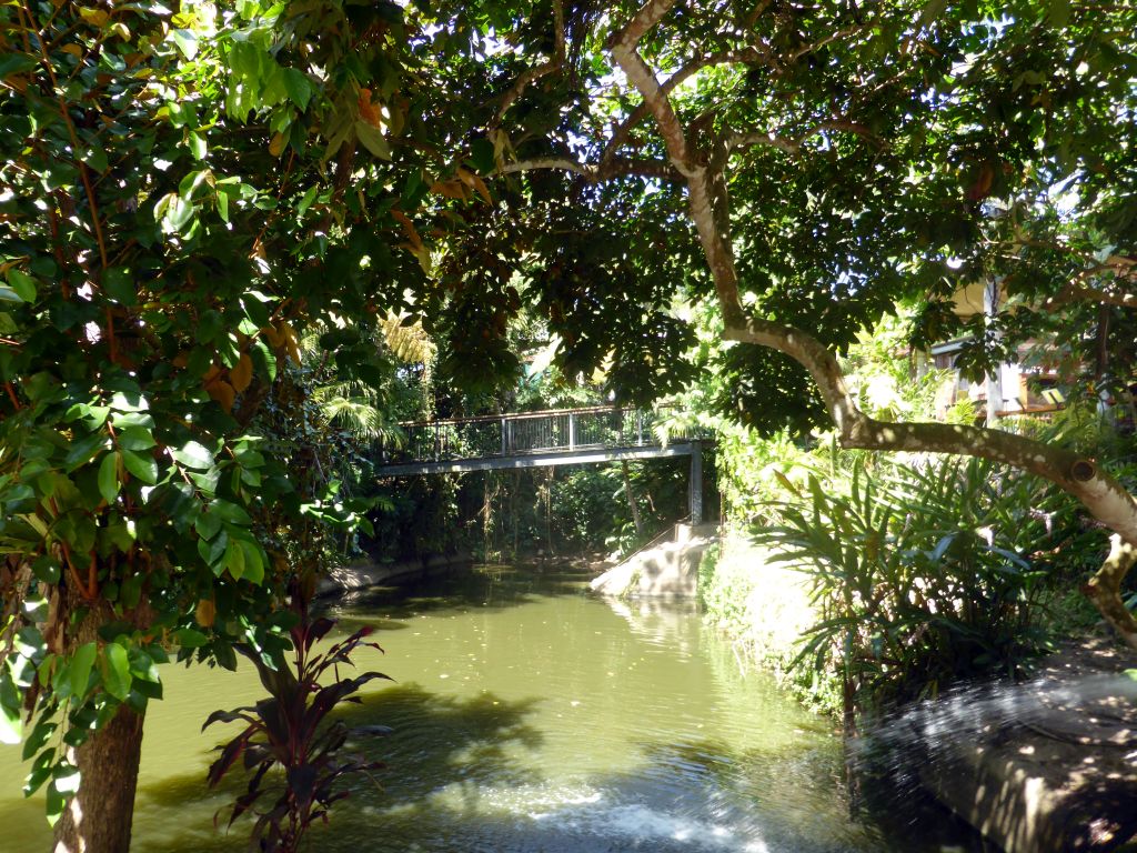 Interior of the Kuranda Koala Gardens