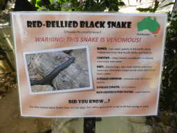 Information on the Red-bellied Black Snake at the Walk-through Snake House at the Kuranda Koala Gardens