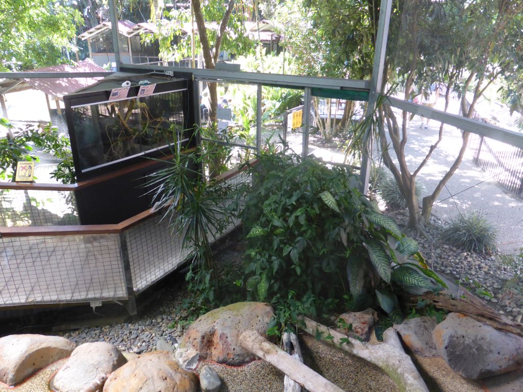 Interior of the Walk-through Snake House at the Kuranda Koala Gardens