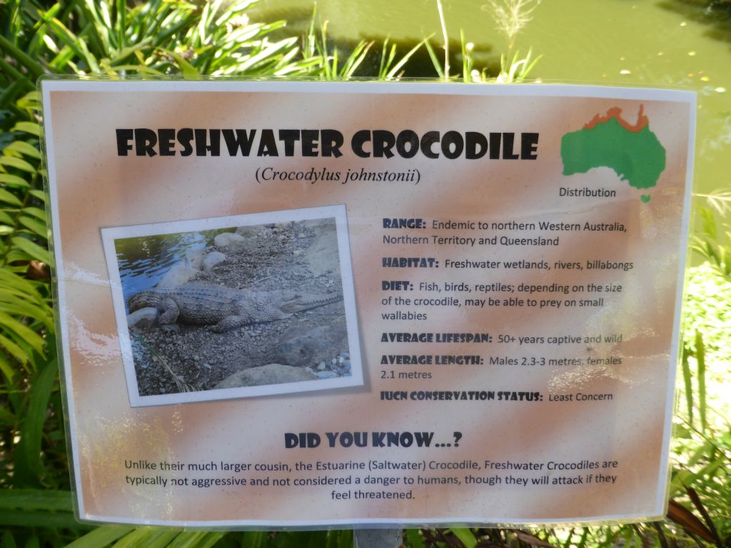 Information on the Freshwater Crocodile at the Pioneer Shed at the Kuranda Koala Gardens