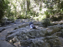 Miaomiao on rocks at the crossing of Jumrum Creek