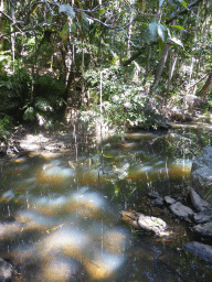 Jumrum Creek
