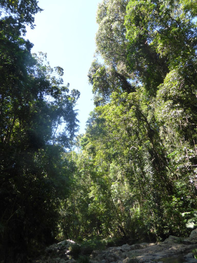 Rocks and trees at the crossing of Jumrum Creek