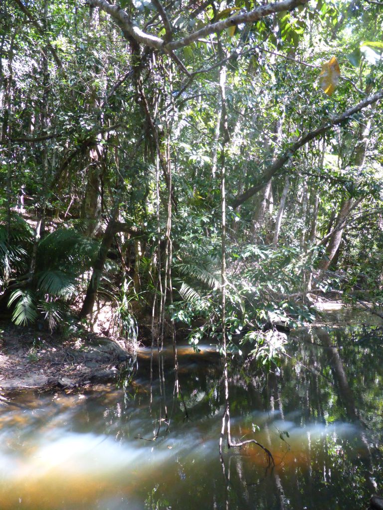 Jumrum Creek