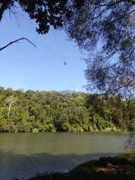 The Skyrail Rainforest Cableway over the Barron River, viewed from the River Walk