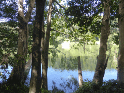 The Barron River, viewed from the River Walk