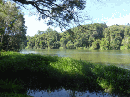 The Barron River, viewed from the River Walk